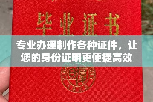 天峻专业办理制作各种证件，让您的身份证明更便捷高效